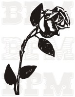 /album/kvety-stromy/kvety-12-jpg/